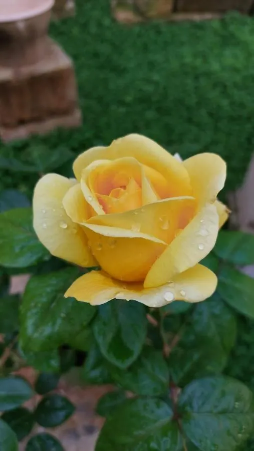 Al Centro Di Lecce Appartamento Le Due Rose-Con Patio Privato